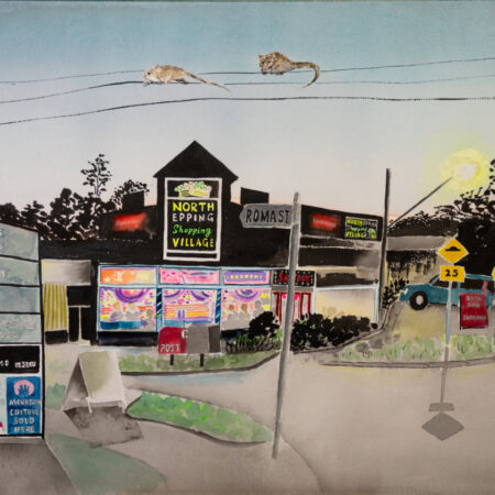North Epping Shopping Village