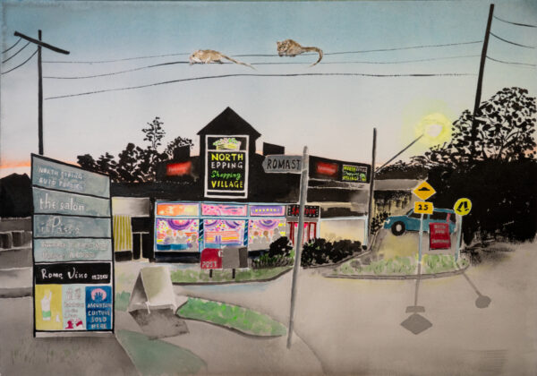 North Epping Shopping Village