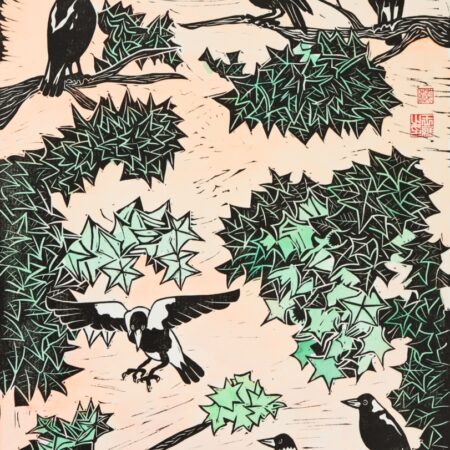 Meet the Magpie Family
